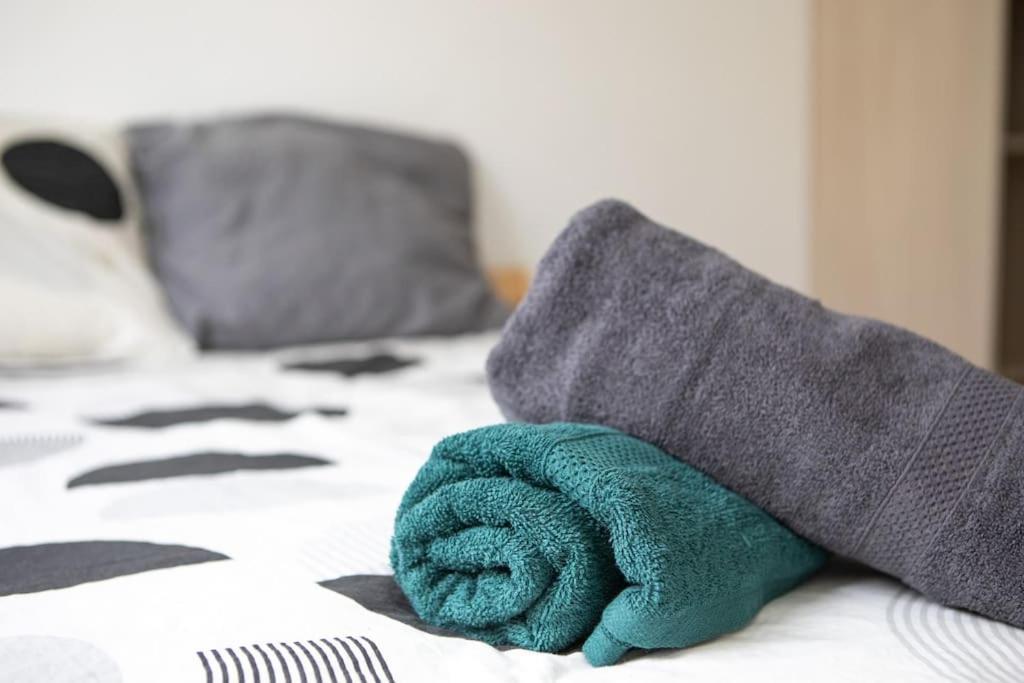 Suite Lumineux Et Moderne, Parking Gratuit, Mulhouse Centre Buitenkant foto